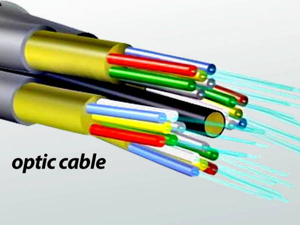 ಇಂಗ್ಲೆಂಡ್ ವಿಜ್ಞಾನಿಗಳು: 