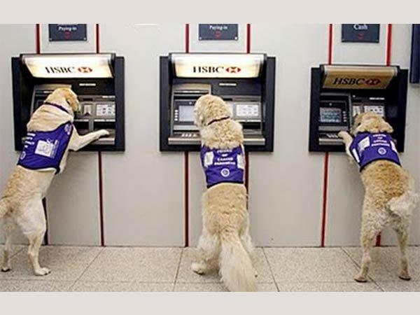 ನಗದು ರಹಿತ ಅರ್ಥವ್ಯವಸ್ಥೆ ಬೆಳವಣಿಗೆ!!