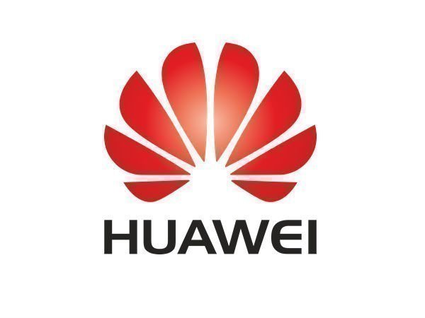 ಹೈಬ್ರಿಡ್ ಜೂಮ್: 