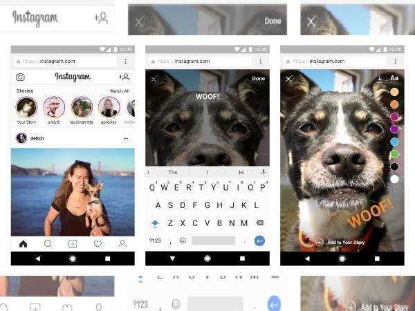 ಸ್ಟೋರಿಯಲ್ಲಿ ಫೋಲ್: 