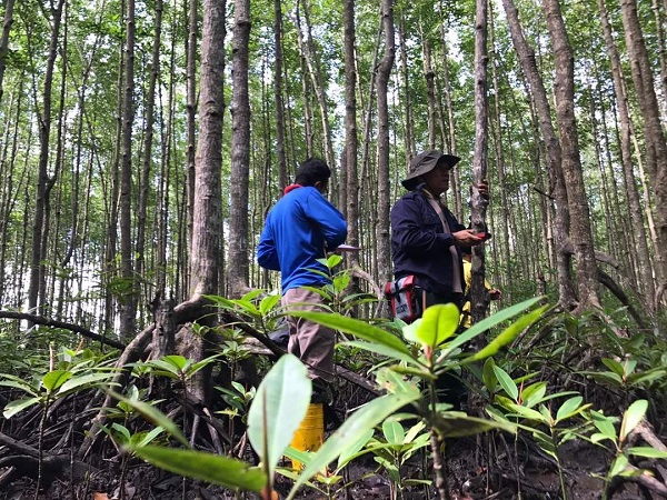 ಆಪ್ ರೂಪಿಸಿದ ವಿಜ್ಞಾನಿಗಳು? 