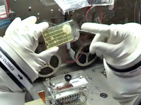 ಭೂಮಿಗೆ ತರಲು ಸಾಧ್ಯವಾಗಿಲ್ಲ!!