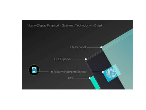 ಬ್ರೆಜಿಲ್ ಲೈಸ್ ಡಿಸ್‌ಪ್ಲೇ: