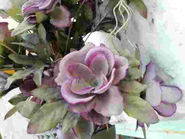 ನೈಸರ್ಗಿಕ ಬಣ್ಣಗಳು: