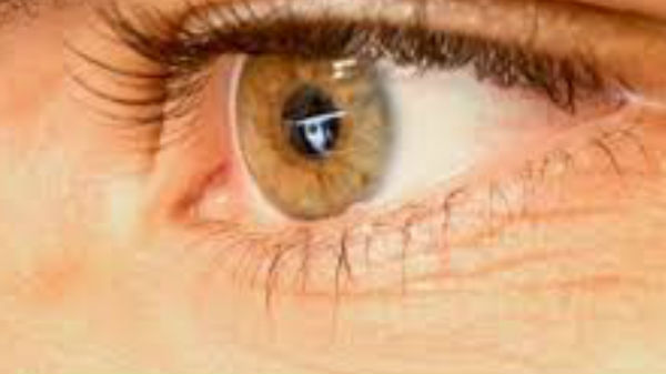 ಅಧ್ಯಯನದ ಪಲಿತಾಂಶವೇನು? 