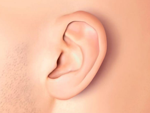 ಇಯರ್ ಪ್ರಿಂಟ್: