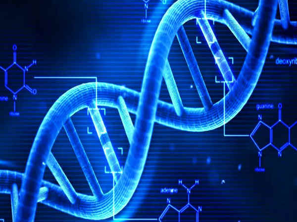 ಮನುಷ್ಯ ಹೆಚ್ಚುಕಾಲ ಜೀವಿಸುತ್ತಾನಂತೆ!! 