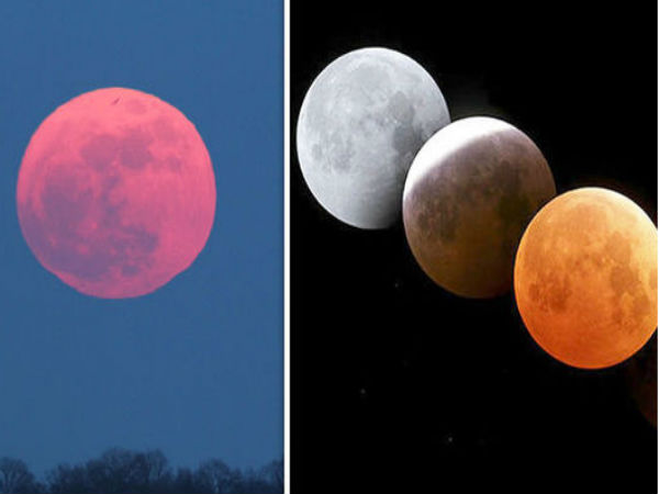 ಕುತೂಹಲಕ್ಕೆ ಕಾರಣ: