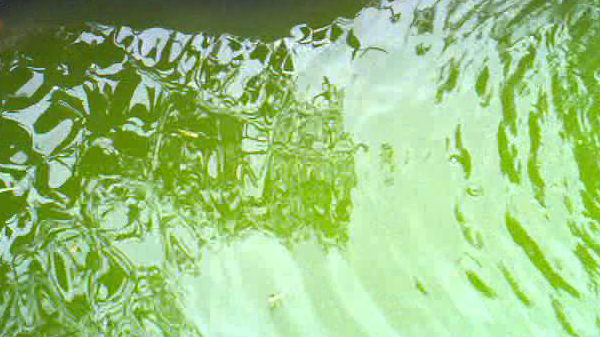 ಬೈಸಿಕಲ್ ಬೋಟ್ ಉಪಯೋಗವೇನು?