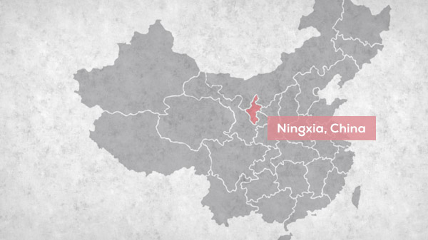 ಚೀನಾ ನಂಬರ್ ಒನ್: