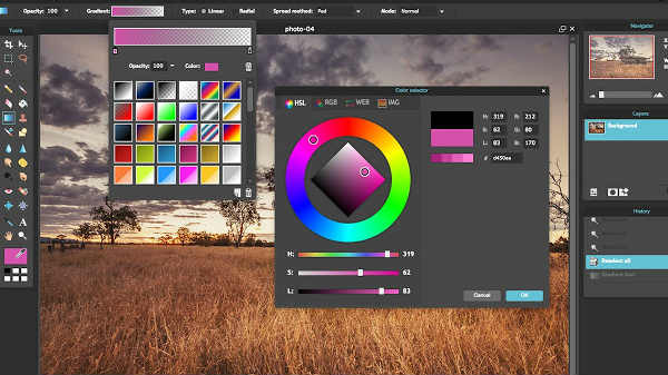 ಪಿಕ್ಸಲ್ ಎಡಿಟರ್: