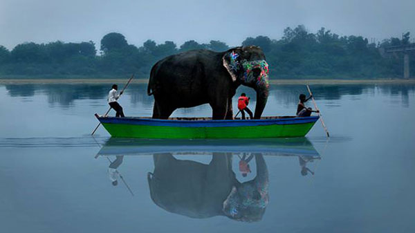 ಚಿಕ್ಕ ಬೋಟ್‌ನಲ್ಲಿ 50 ಜನ ಹೋಗೋರು ಆನೆನಾ ಬಿಡ್ತಾರಾ? 