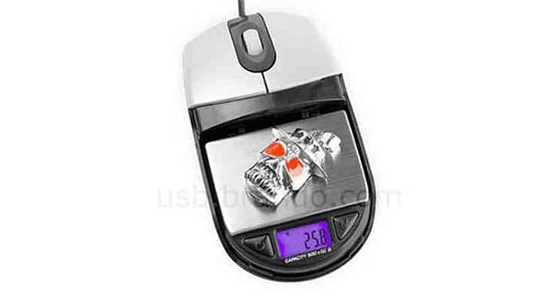 ಮೌಸ್ ಸ್ಕೇಲ್!