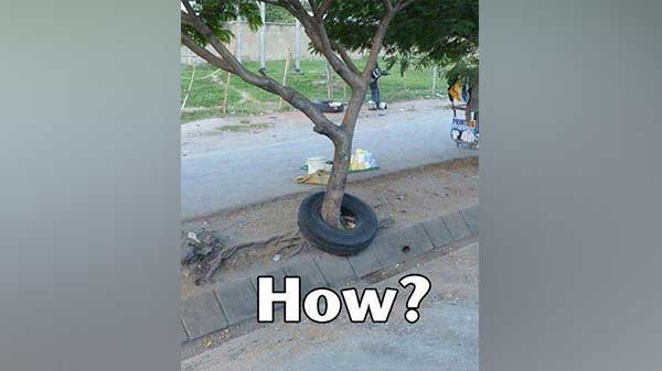 10 ವರ್ಷದಿಂದ ಒಂದು ಟೈರ್ ಎತ್ತಿ ಎಸೆಯೋಕಾಗಿಲ್ಲ! 