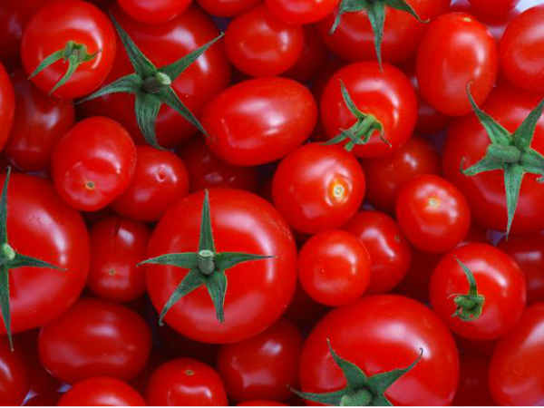 ಟೊಮೊಟೊ ಜೀನ್‌!! 