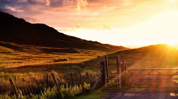 ಬೆಳಕು ಬಹಳ ಮುಖ್ಯ