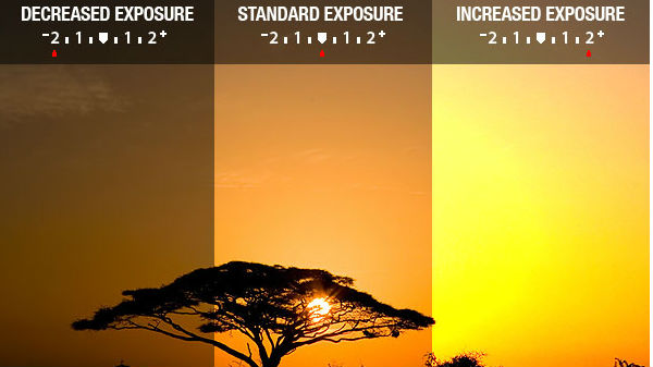 ಎಕ್ಸ್‌ಪೋಷರ್ ಸರಿದೊಂದಿಸಿ (Adjust exposure)