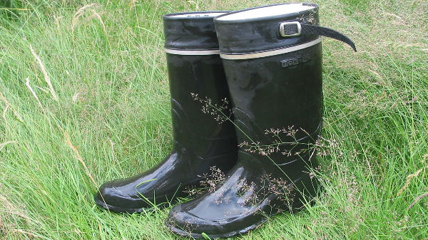 3. ದೊಡ್ಡ ಕಾರ್ಯವ್ಯಾಪ್ತಿ