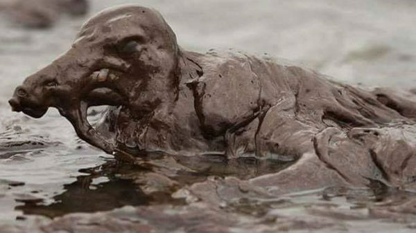 ನೀವೇ ಹೇಳಿ: