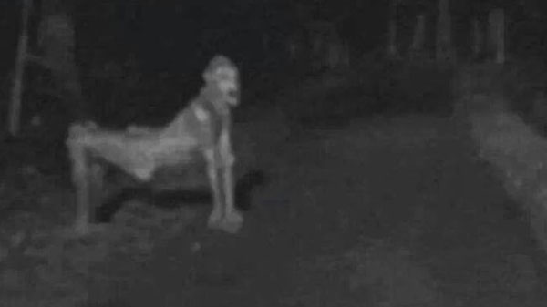 ಏನೀದು..? ಏನೀದು..?