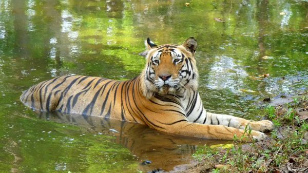ನೈಸರ್ಗಿಕ ಹೆಗ್ಗುರುತುಗಳ ದರ್ಶನ