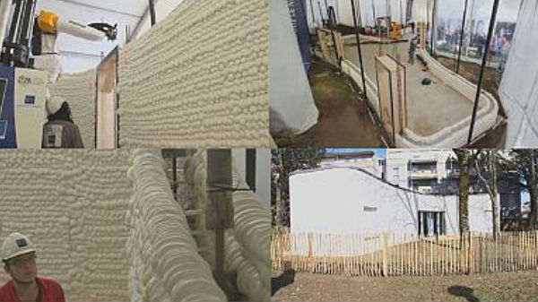 3ಡಿ ಮನೆಯ ವಿಶ್ವದಾಖಲೆ