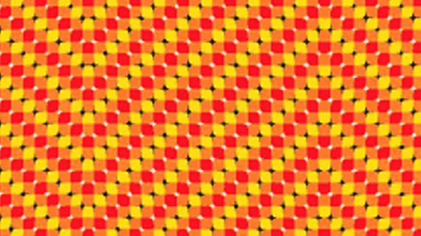 ಕನ್ಫ್ಯೂಸ್ ಮಾಡೋ ಅದ್ಭುತ ಚಿತ್ರಗಳು ಕನ್ಫ್ಯೂಸ್ ಮಾಡೋ ಅದ್ಭುತ ಚಿತ್ರಗಳು