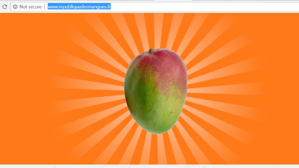 21. ಮಾವು ಹೇಗಿರುತ್ತೇ ಗೊತ್ತಾ..?