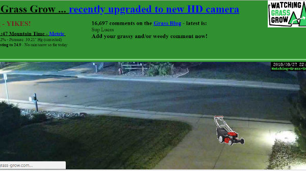 8. ವಾಚಿಂಗ್‌ ಗ್ರಾಸ್‌ ಗ್ರೋ