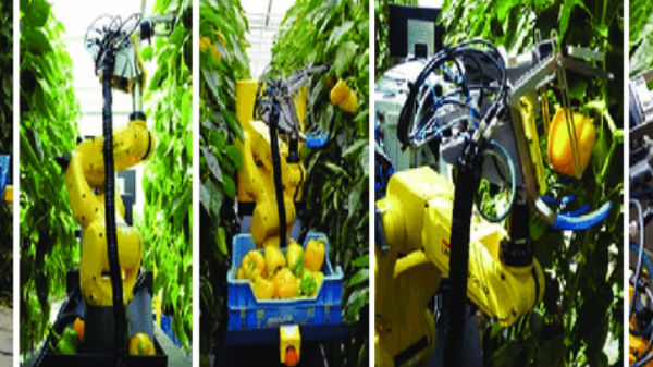 ಎಷ್ಟು ತಾಸು ಕಾರ್ಯ ನಿರ್ವಹಿಸುತ್ತದೆ?