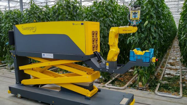 ಎಲ್ಲಿ ತಯಾರಿಸಿದ ರೋಬೊಟ್: