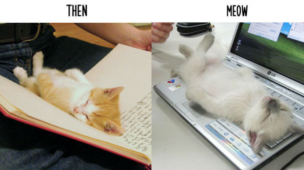 2. ಓದುವಾಗ ಜತೆಯಲ್ಲಿರುತ್ತಿತ್ತು