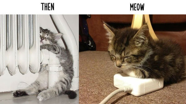 3. ಬೆಚ್ಚನೆ ಜಾಗದಲ್ಲಿ ಬೆಚ್ಚಗಿನ ನಿದ್ದೆ