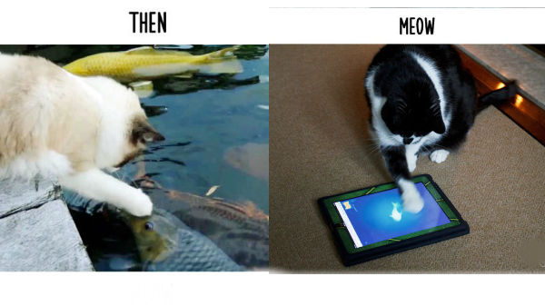 7. ಮೀನಿಗೆ ಗಾಳ