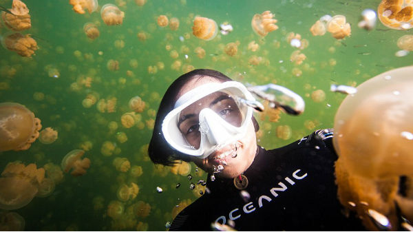 9. ಸೆಲ್ಫೀ ವಿಥ್ ಜೆಲ್ಲಿಫೀಷ್‌