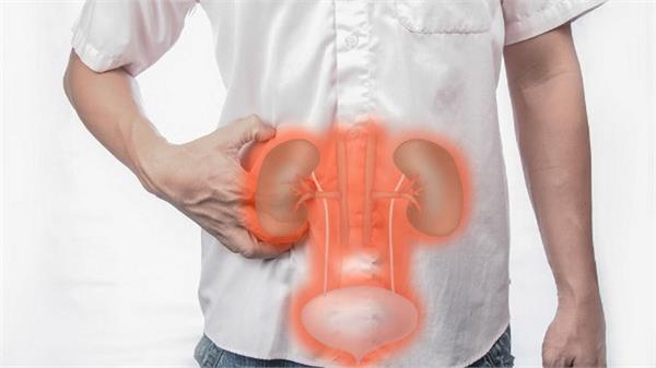 ಸ್ಟೇನೋಗ್ರಾಫರ್‌ನಿಂದ 1.6 ಕೋಟಿಗೆ ಕಿಡ್ನಿ ಮಾರಾಟಕ್ಕೆ ಯತ್ನ