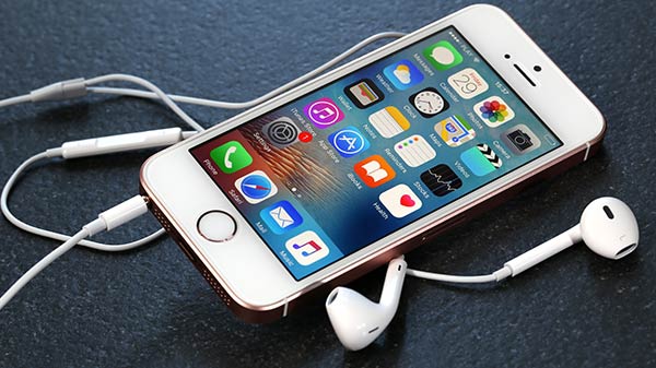 ಭದ್ರತಾ ನೆಪ: