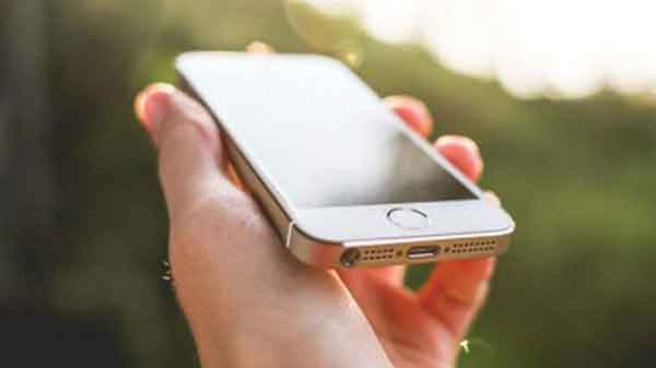 ನೇರವಾಗಿ ಸೂರ್ಯನ ಕಿರಣಗಳು ಬೀಳುವುದನ್ನು ತಪ್ಪಿಸಿ ನೇರವಾಗಿ ಸೂರ್ಯನ ಕಿರಣಗಳು ಬೀಳುವುದನ್ನು ತಪ್ಪಿಸಿ