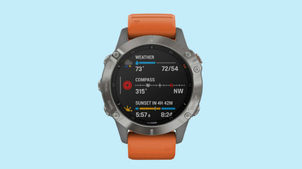 ಗಾರ್ಮಿನ್ ಸಂಸ್ಥೆ