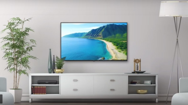 ಟಿವಿ ನಿಯಮಗಳು