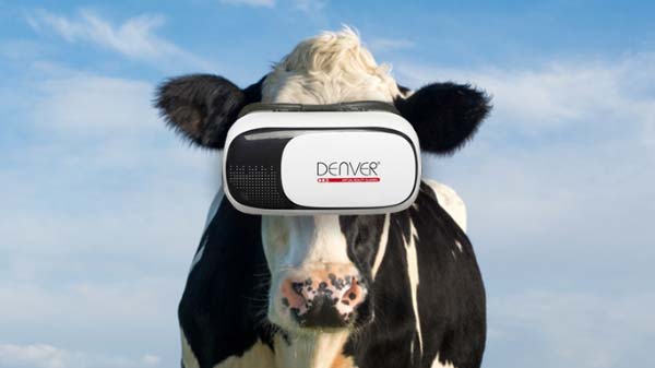 ಹಸುವಿನ ಭಾವನಾತ್ಮಕ ಅನುಭವ: ಹಸುವಿನ ಭಾವನಾತ್ಮಕ ಅನುಭವ: