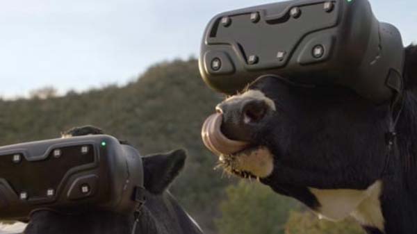 ಕೃಷಿ ಮತ್ತು ಆಹಾರ ಸಚಿವಾಲಯದ ಪ್ರಯೋಗ: ಕೃಷಿ ಮತ್ತು ಆಹಾರ ಸಚಿವಾಲಯದ ಪ್ರಯೋಗ: