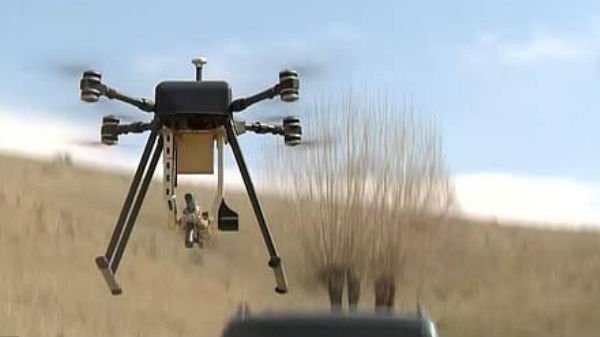 ಆಸಿಸ್ಗಾರ್ಡ್ 