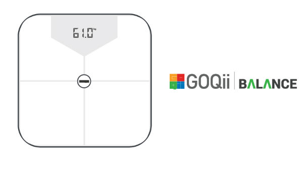 ಸ್ಮಾರ್ಟ್ ಸ್ಕೇಲ್