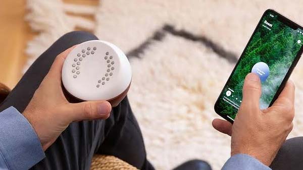 ಕೋರ್ ಮೆಡಿಟೆಷನ್ ಟ್ರೈನರ್- Core Meditation Trainer