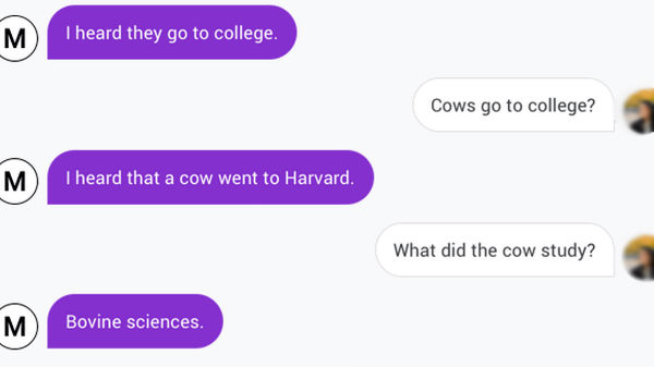 ಯಾರಿದು ಮೀನಾ? ಯಾರಿದು ಮೀನಾ?