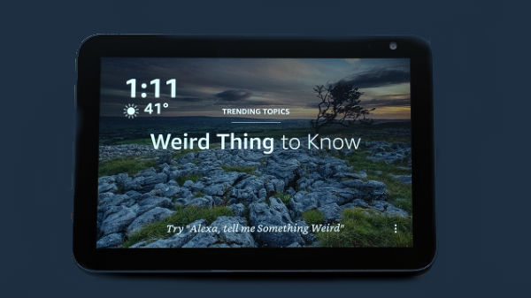 ಸ್ಪೀಕರ್ 