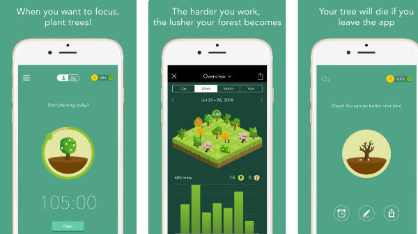 ಫಾರೆಸ್ಟ್‌