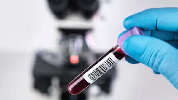 ಮೌಂಟ್ ಸಿನಾಯ್