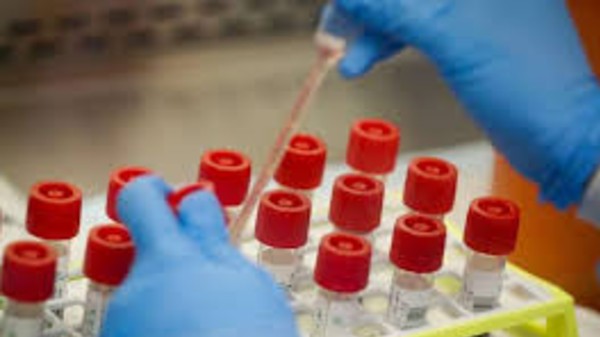 ನಿಮಗೆಲ್ಲಾ 